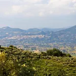In Cannara With Pool Near Assisi Vila Tordandrea