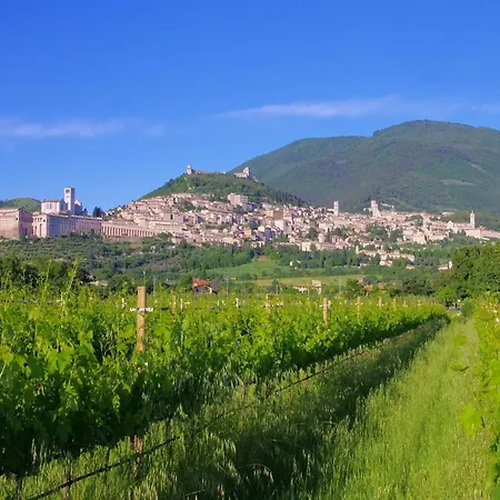 In Cannara With Pool Near Assisi * Tordandrea