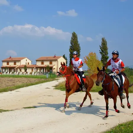 Villa In Cannara With Pool Near Assisi Tordandrea