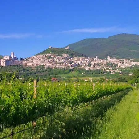 Belvilla By Oyo Spello Villa Tordandrea