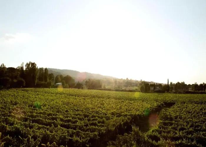 Vila In Cannara With Pool Near Assisi