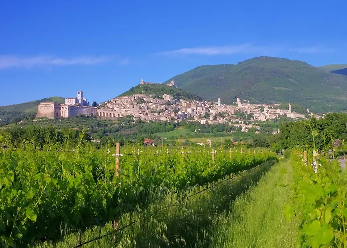 In Cannara With Pool Near Assisi * Tordandrea